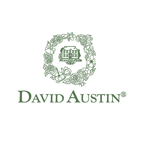David Austin logo
