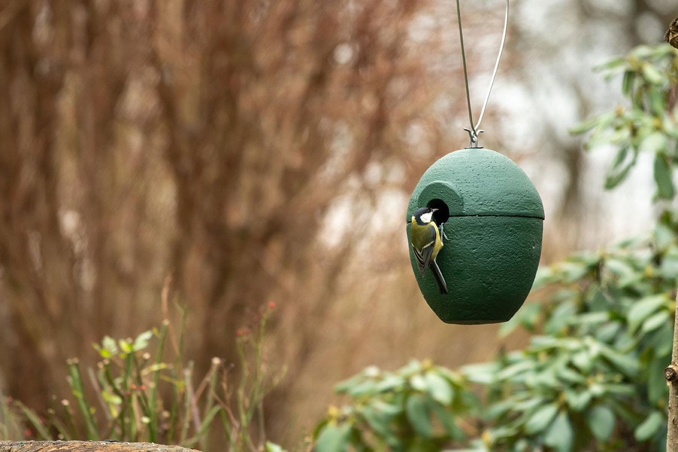 A bluetit feeding out of a green hanging bird feeder