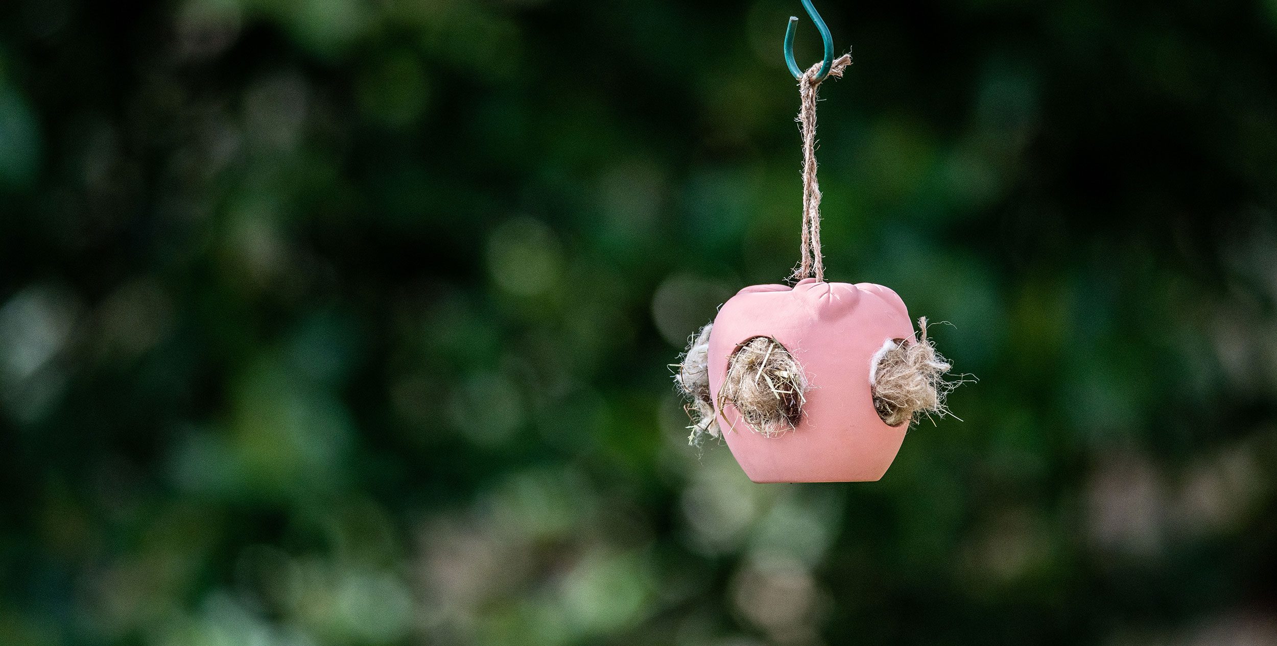 A pink apple bird feeder hanging