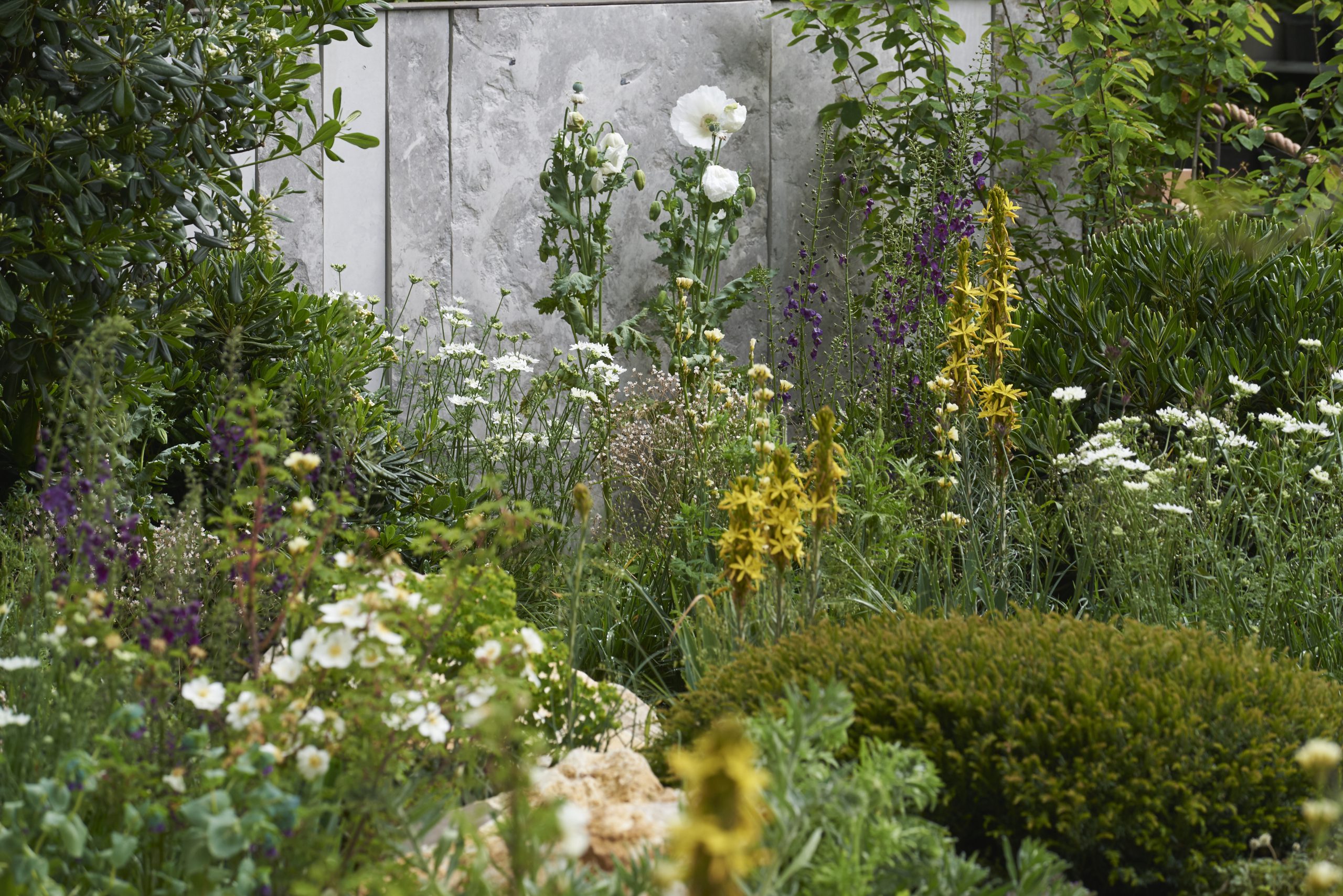 RHS Chelsea 2023 PR campaign - a case study by Honest Communications, a garden and home PR agency, social media management, content creation and more