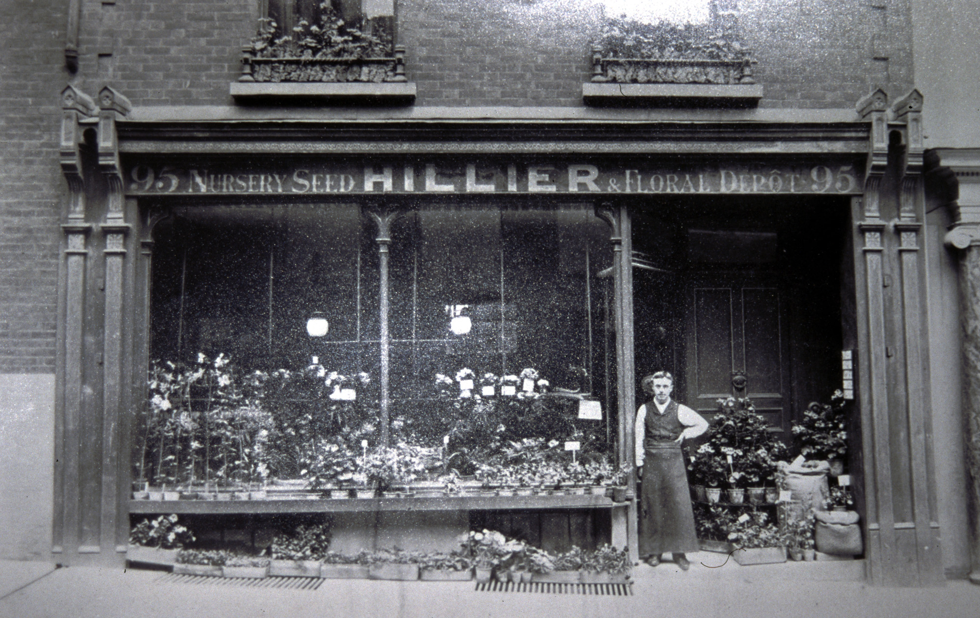 A black and white picture of a man standing in front of a garden shop, with Hillier branding