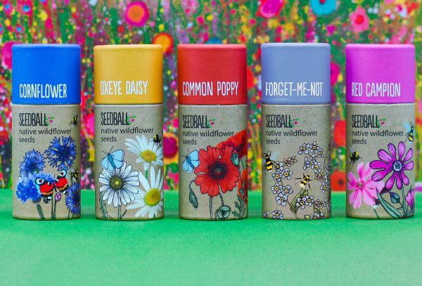 five cardboard tubes with 'Seedball Native Wildflower Seeds' written on