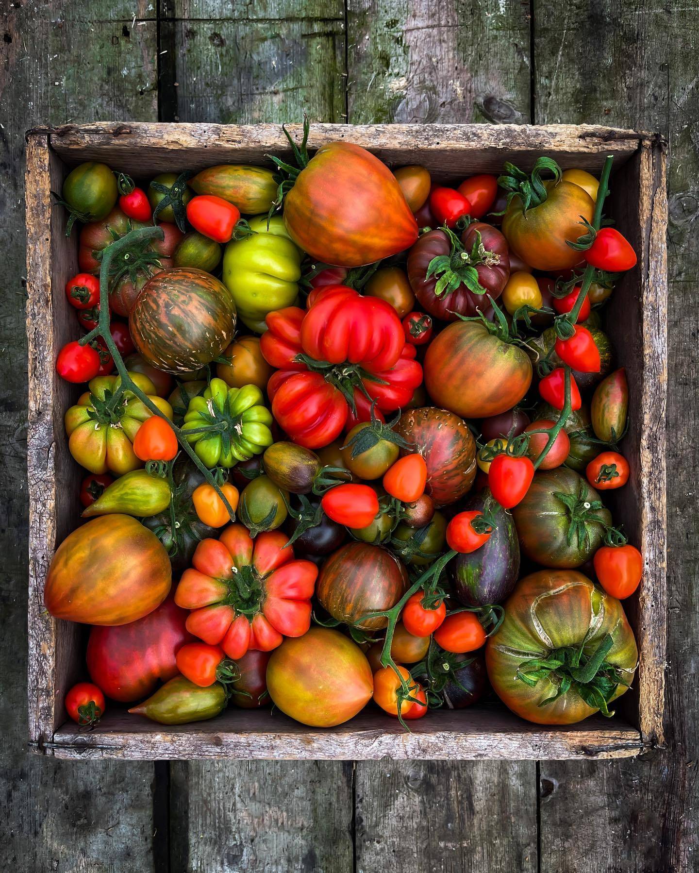 a wooden crate of assorted, colourful veg