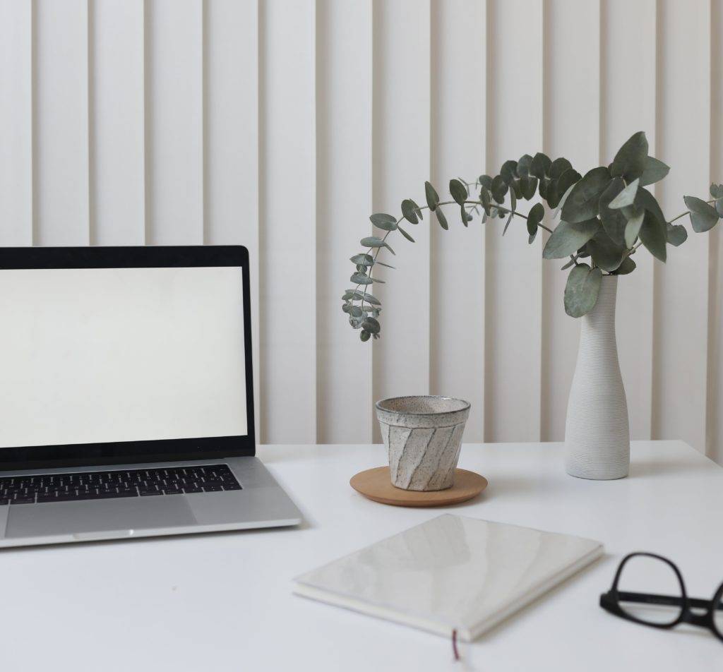 a blank computer screen, plant and coffee cup sat upon a white desk