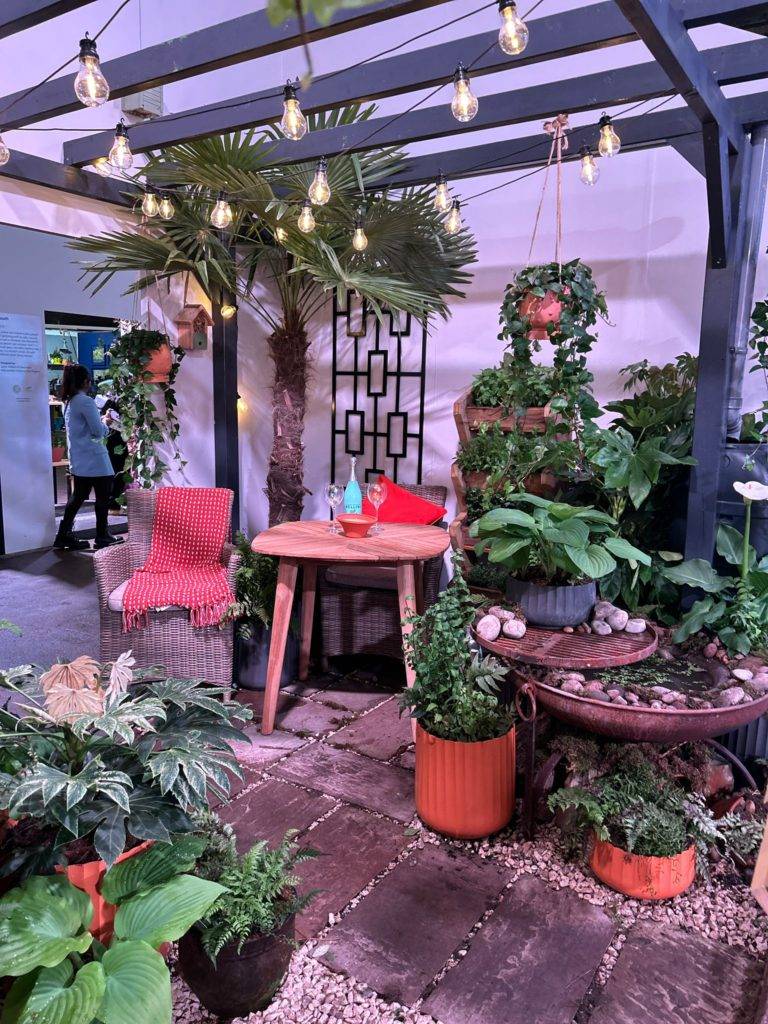 rhs urban show in manchester, showcasing houseplants and simple ways to grow.