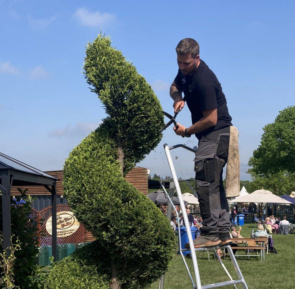 Andy the Hedge Barber creating topiary using a Henchman ladder