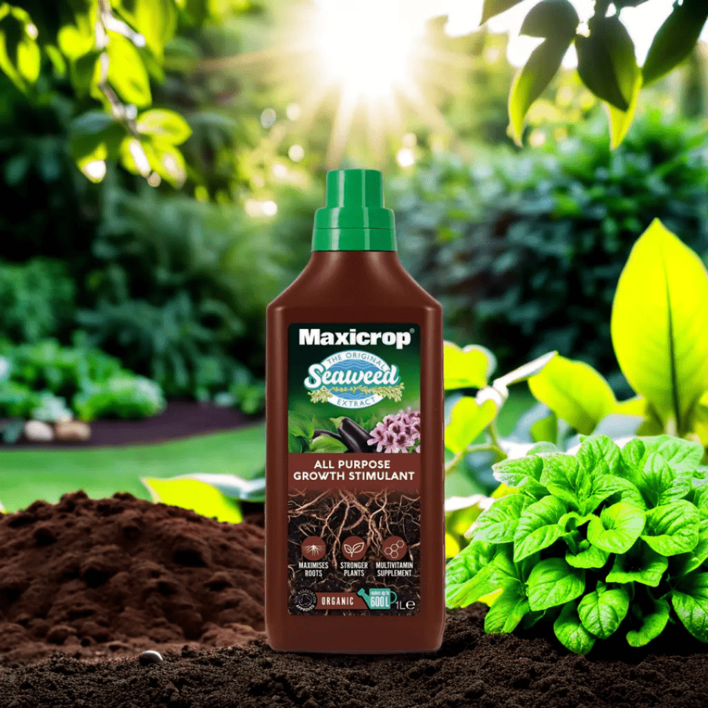 maxicrop all purpose growth stimulant