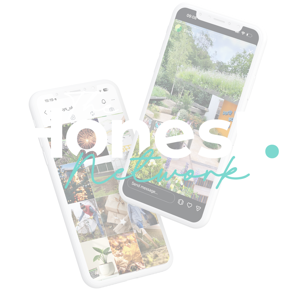 honest network logo graphic